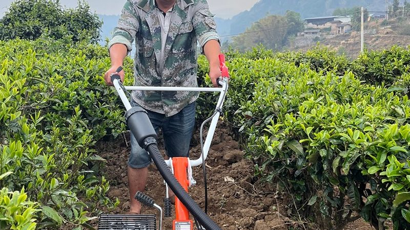 小型播种机如何选？关注这些关键指标**