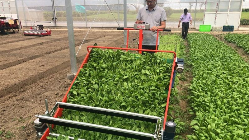 粮食烘干机：如何选择合适的批发价格与报价**