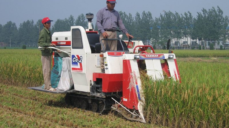 散养羊场围栏设备选型：关键因素与误区解析**